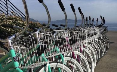 Picture, row of bikes on a beach